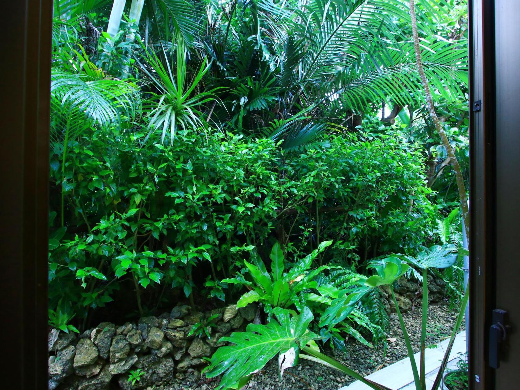 Kachibai Villa Ishigaki  Bagian luar foto
